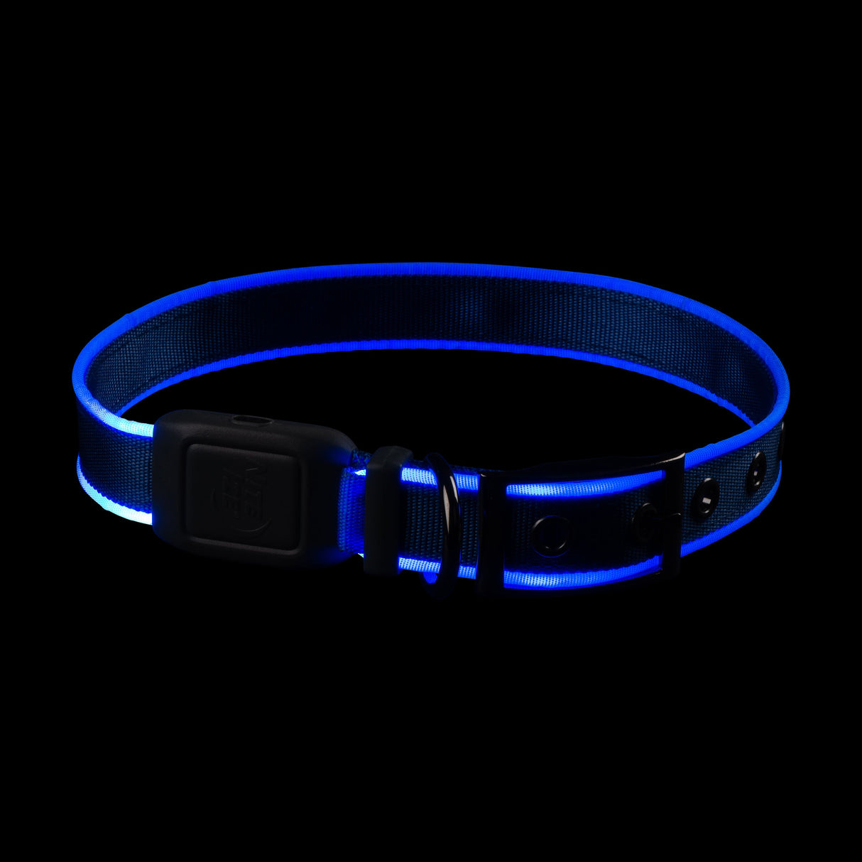 Nitedog Rechargeable LED Collar
