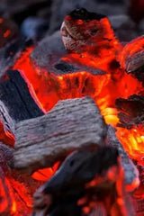 Elite Special Charcoal - 10 Kg