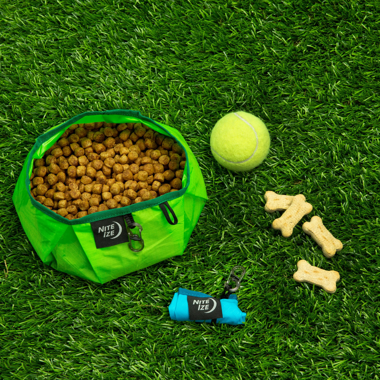 Pet Raddog Collapsible Bowl