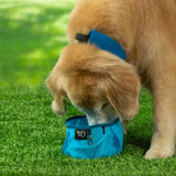 Pet Raddog Collapsible Bowl