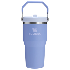 Stanley IceFlow Flip Straw Tumbler - Insulated Cup - 20 oz / 600 ml