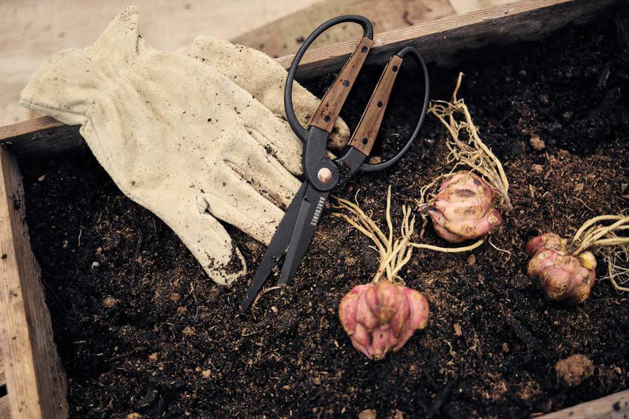 Garden Scissors