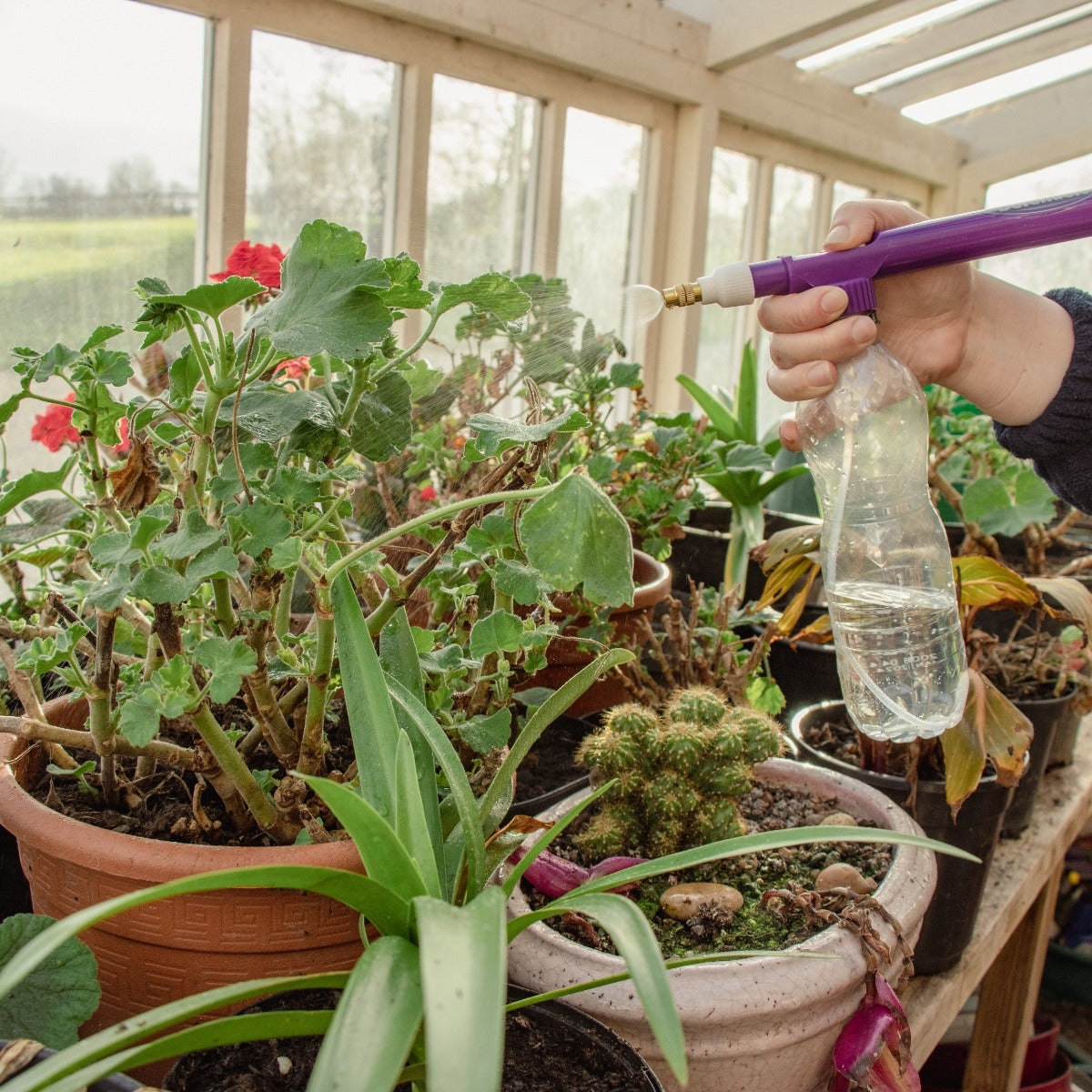 Recycled Soda Bottle Pressure Sprayer