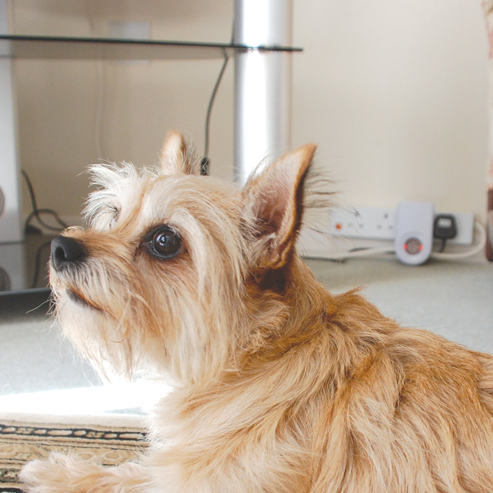 Advanced Pest Repeller