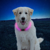 Pet Nitehowl® Led Safety Necklace - Disc-O Select™