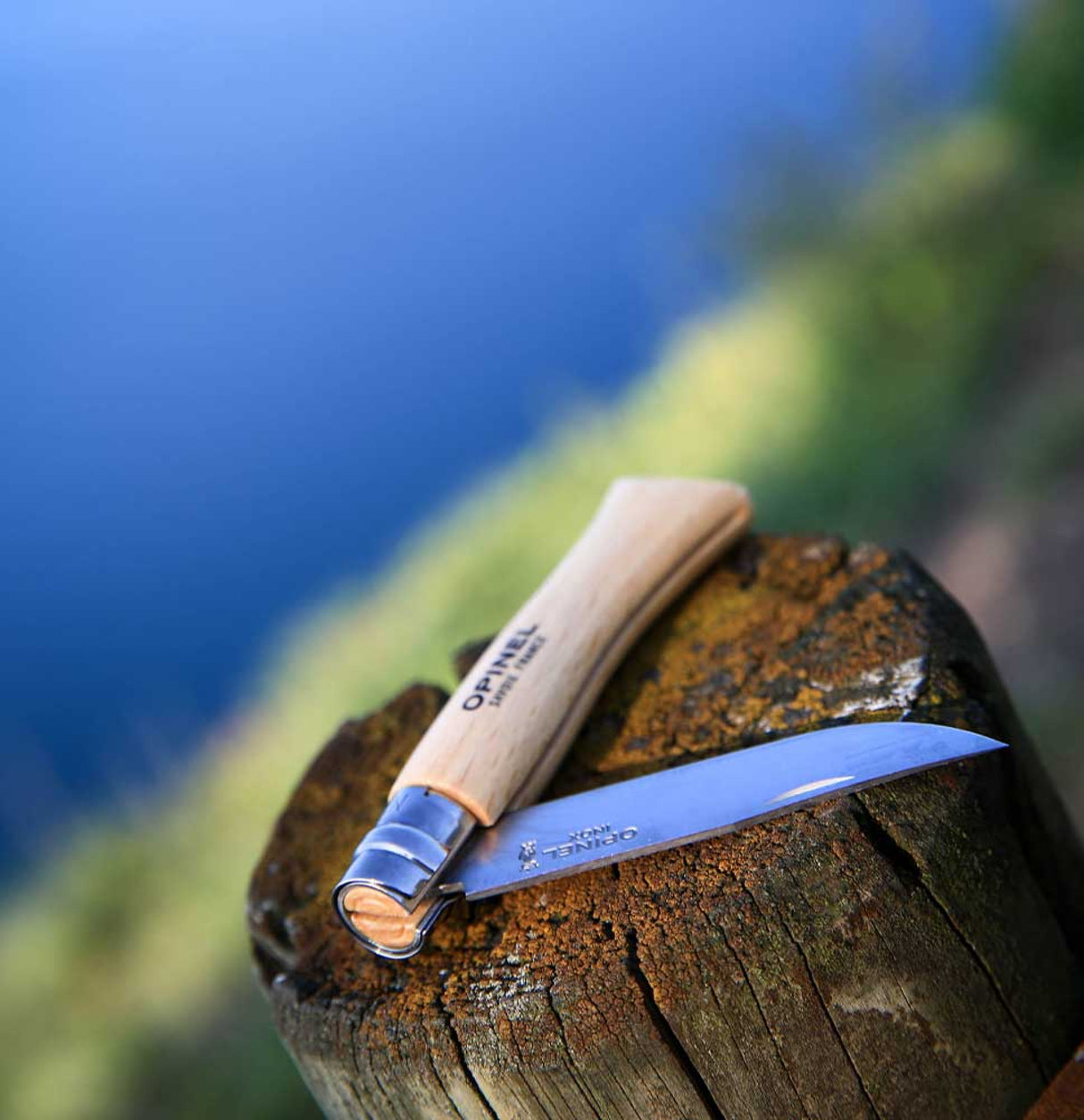 Opinel Traditional Stainless Steel Knife displayed on a wooden stump, showcasing its sleek blade and handle design.