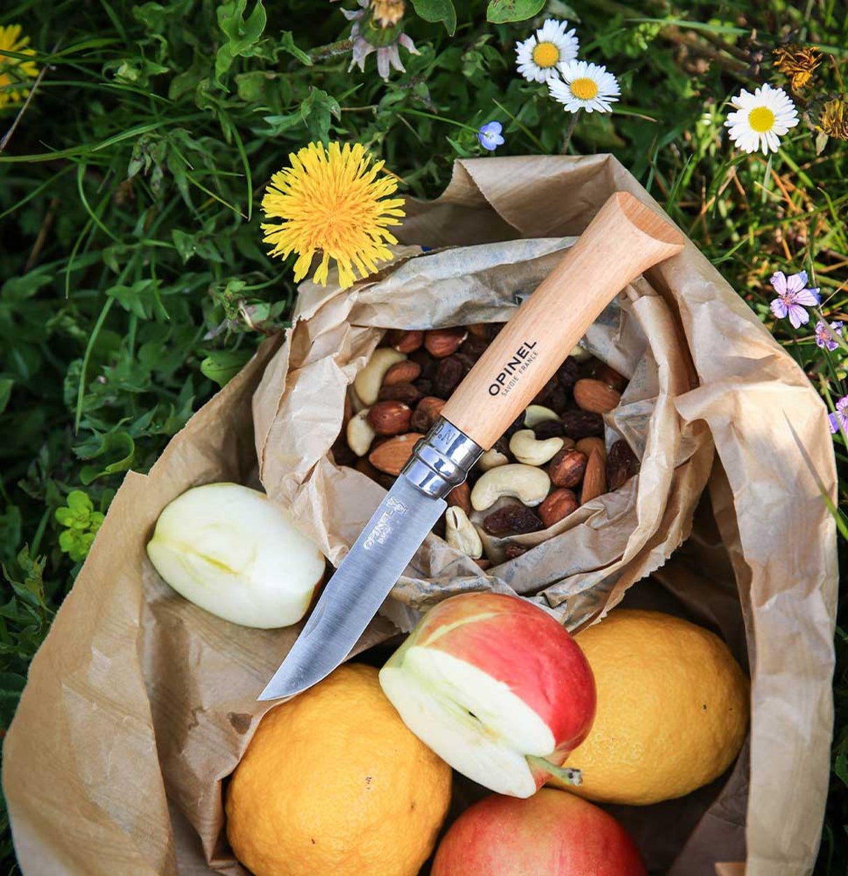 Opinel Traditional Stainless Steel Knife with wooden handle, displayed outdoors with fruits and nuts, highlighting its outdoor utility.