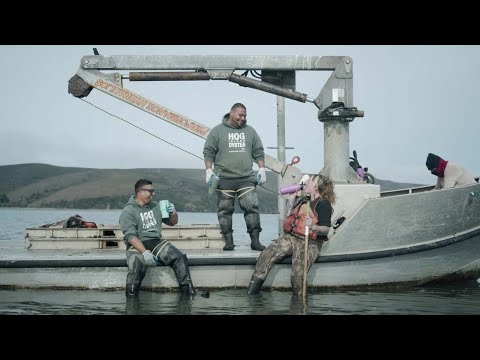 CamelBak Horizon 16oz/0.47L Medium Beverage Tumbler