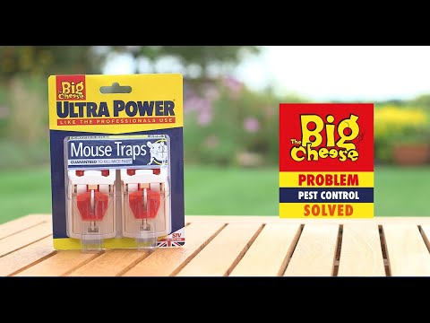 Ready-Baited Mouse Trap - 2 pack