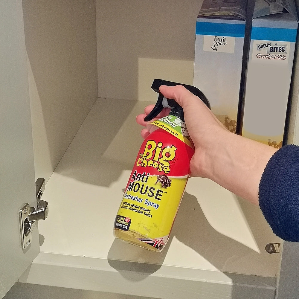 Anti Mouse Refresher Spray