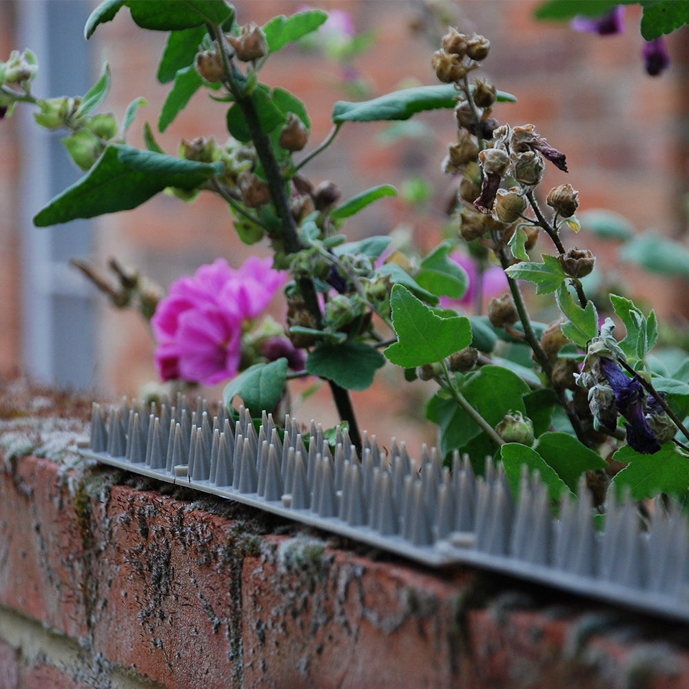 Prickle Strip Garden Fence Toppers - 6 Pack