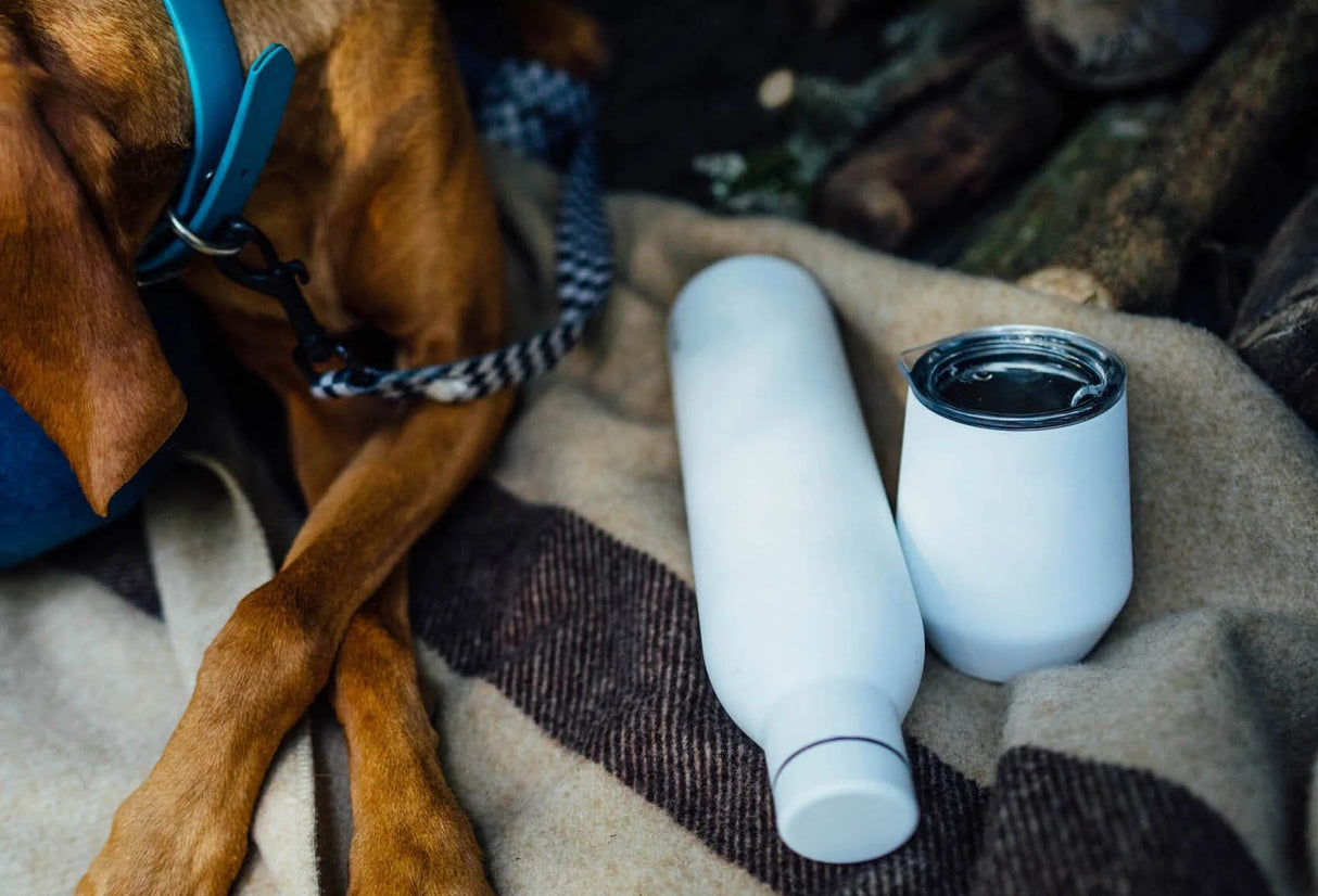 Wine Bottle - 25 oz / 750 ml