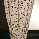 XL Sticky Fly Roll - 10 meter