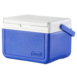 Cooler 5 Qt Fliplid