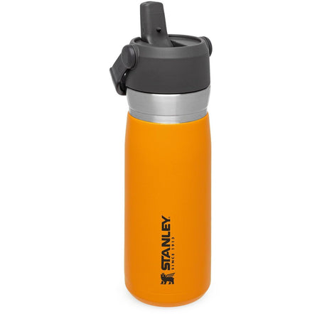 Stanley Go Flip Straw Water Bottle | 0.65L